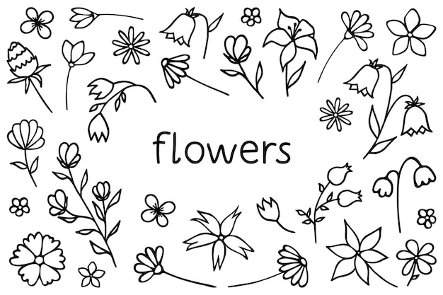 Vector doodle flores elementos gráficos florales gran conjunto de vectores