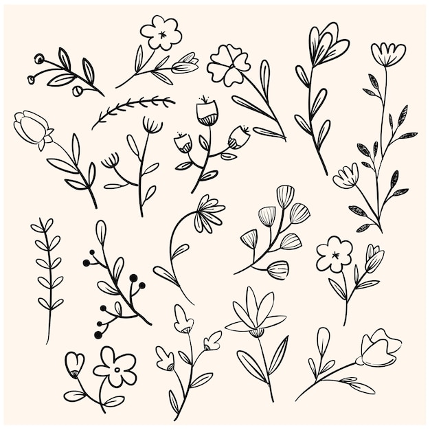 Vector doodle de flores y ramas dibujadas a mano