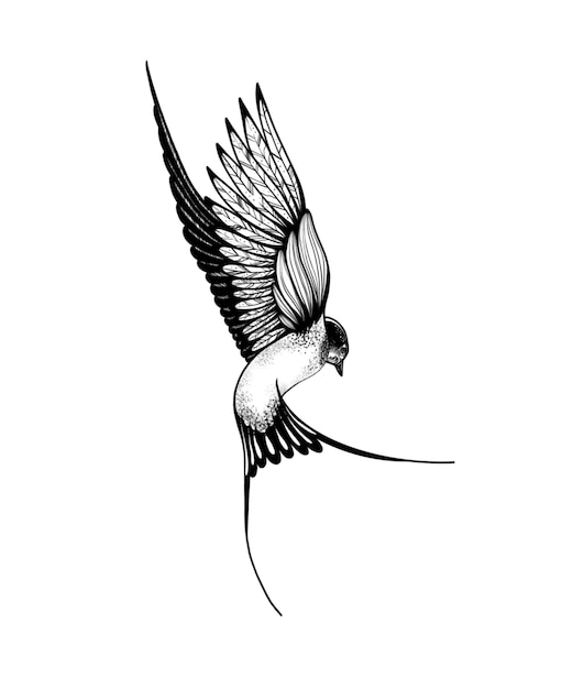 Vector doodle golondrina pájaro blanco y negro