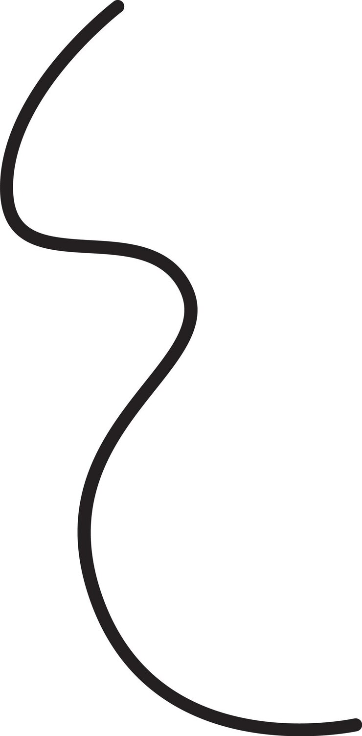 Vector el doodle de la línea curva