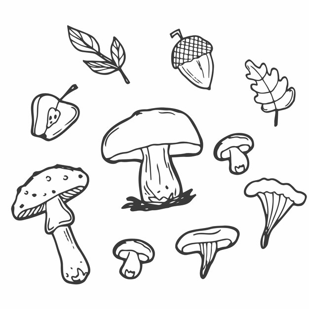 Doodle de otoño sobre un fondo blanco Ilustración vectorial en blanco y negro de un conjunto de otoño