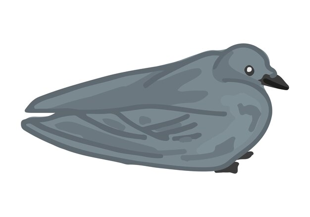 Doodle de paloma clipart de dibujos animados de pájaro de la ciudad ilustración vectorial contemporánea aislada sobre fondo blanco