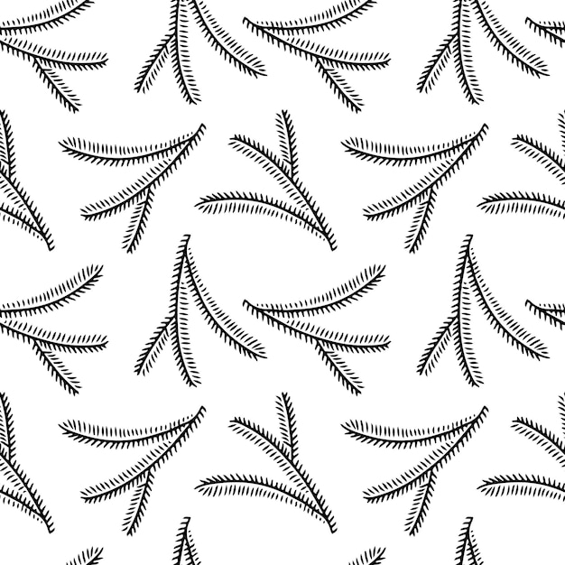 Doodle de patrones sin fisuras dibujados a mano de rama de abeto aislado sobre fondo blanco
