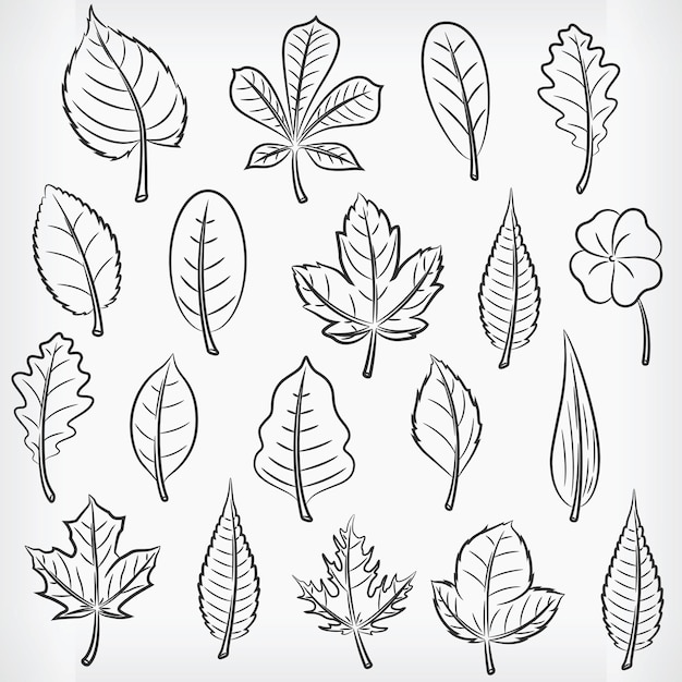 Vector doodle de plantas tropicales con hojas de dibujo a mano