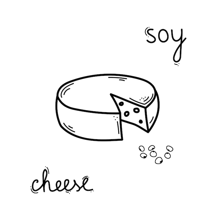 Vector doodle queso de soja comida de soja dibujada a mano ilustración vectorial aislada sobre fondo blanco