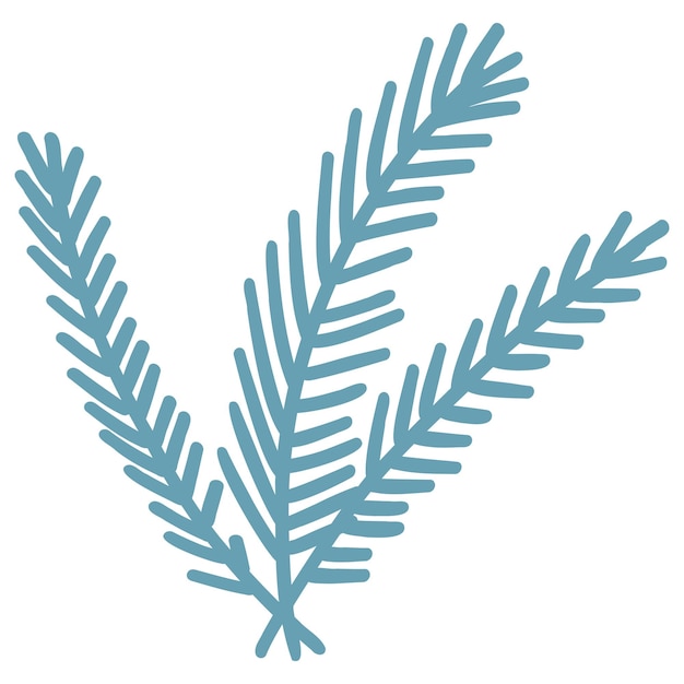 Doodle rama de ramitas de abeto Ilustración de vector dibujado a mano de decoración de invierno de planta
