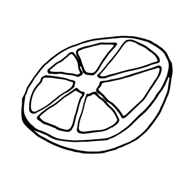 Doodle rebanada cítricos dibujado a mano aislado