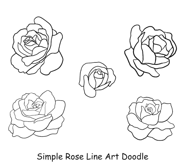 Doodle de rosa aislado dibujado a mano, conjunto de elementos de flores.