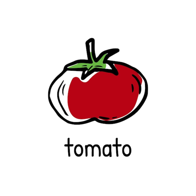 Doodle tomate rojo con su nombre Icono de esbozo dibujado a mano de vegetales Ilustración vectorial aislada