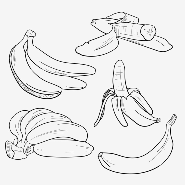 Vector doodle vector dibujado a mano racimo de plátanos