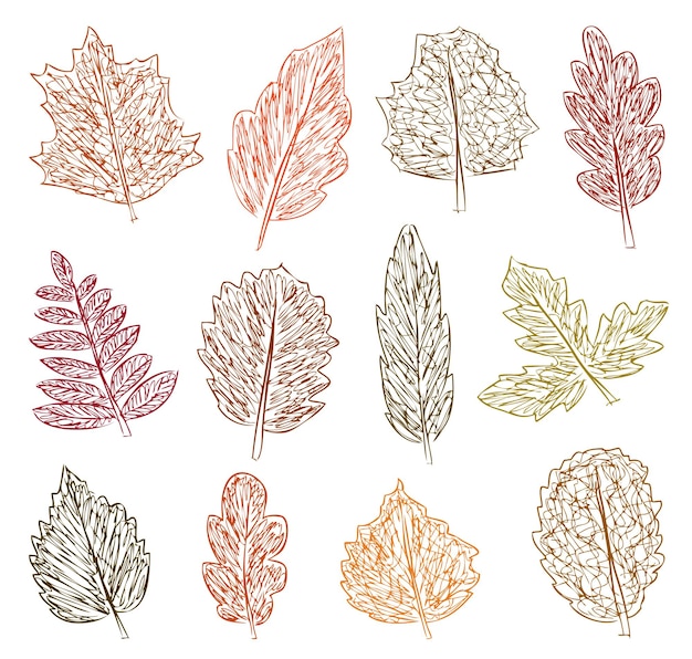 Doodles de diferentes árboles caducifolios hojas dibujo de mano vectorial aislado en blanco