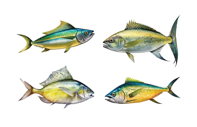 Dorado clipart ilustración vectorial aislada