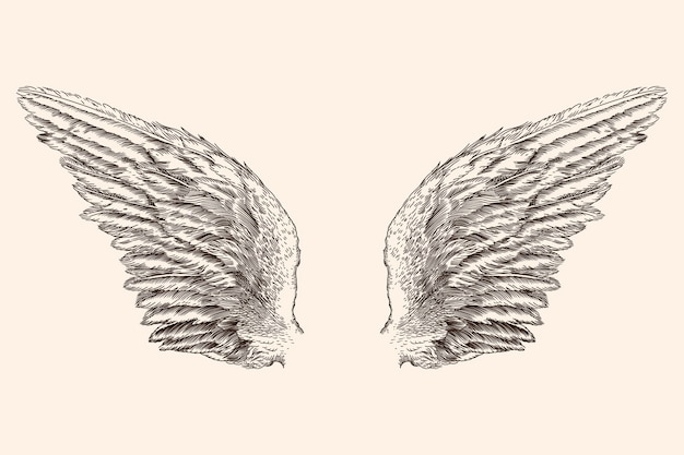 Vector dos alas extendidas de un ángel hechas de plumas aisladas en un fondo beige