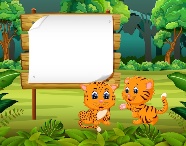 dos bebé tigre con fondo de madera en blanco