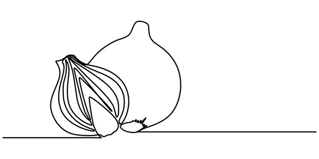 Dos bulbos de cebollas Cosecha Dibujo de línea continua Ilustración vectorial Dibujo continuo de una línea