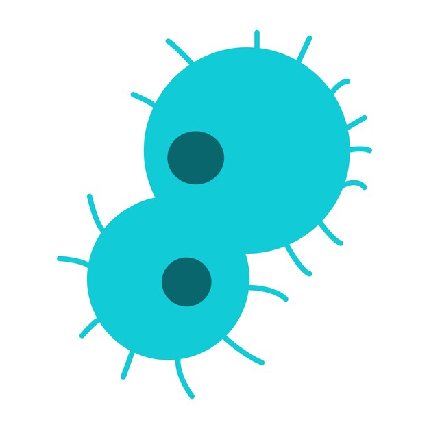 Dos células verdes con núcleos objeto de vector de color semi plano
