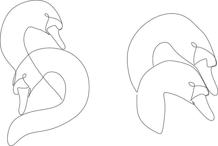 Vector dos cisnes en estilo de dibujo de línea continua. dibujo lineal negro sobre un fondo blanco.