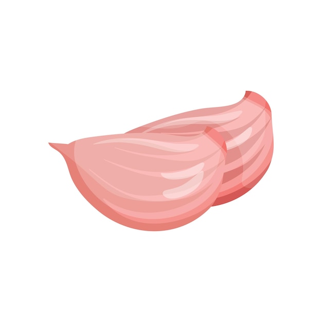 Dos dientes de ajo con cáscara rosa Condimento picante Ingrediente orgánico para dar sabor a los platos Alimentos naturales Tema culinario Ilustración vectorial colorida en estilo plano aislada sobre fondo blanco