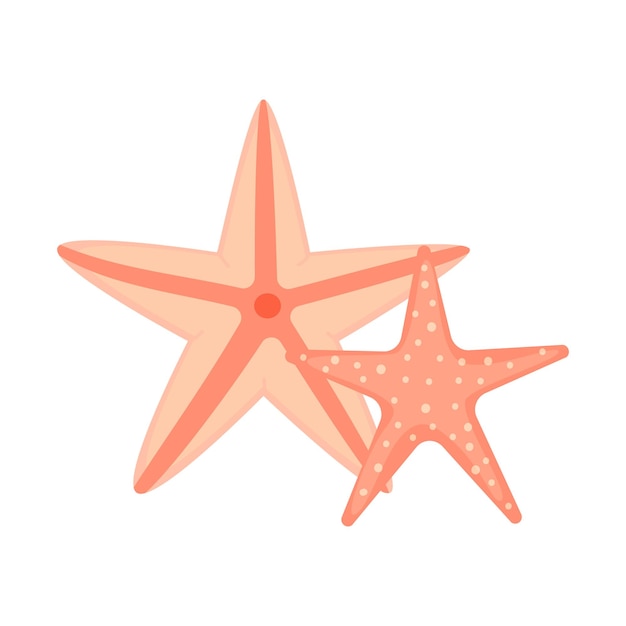 Dos estrellas de mar de colores molusco submarino estrellas de mar icono animal ilustración vectorial en estilo plano