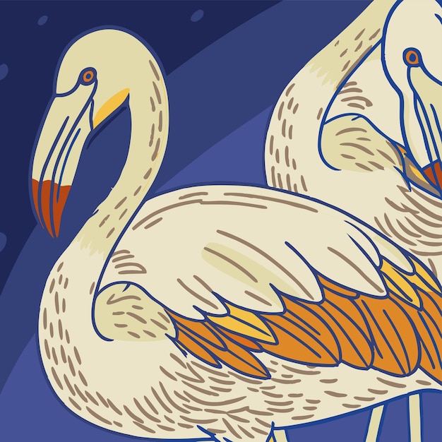 dos flamencos se muestran con las palabras quot flamencos quot en la parte inferior