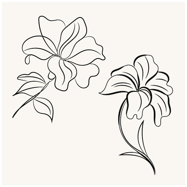 dos flores dibujadas en un fondo blanco con flores negras y blancas