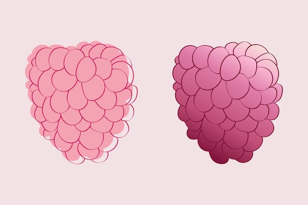 Dos frambuesas rosas