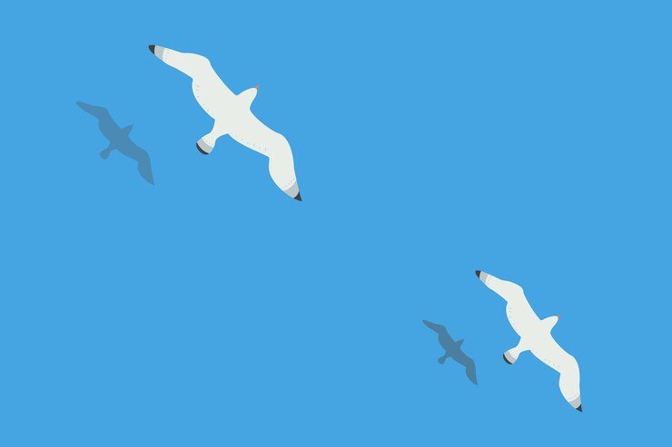 Vector dos gaviotas se elevan sobre la superficie del mar o el océano