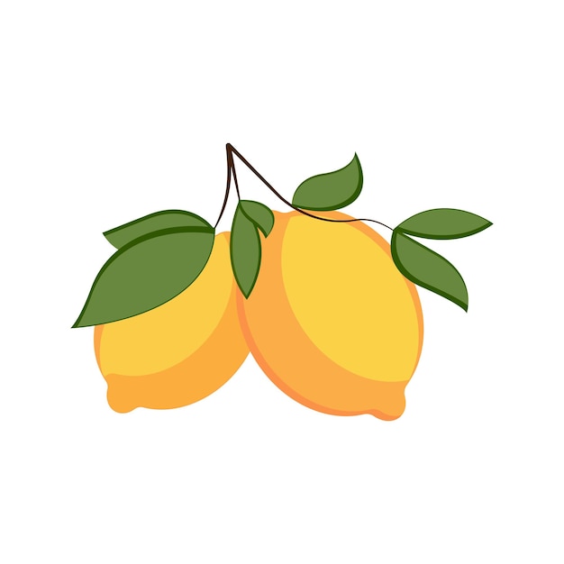 Dos jugosos limones brillantes en una rama con una hoja