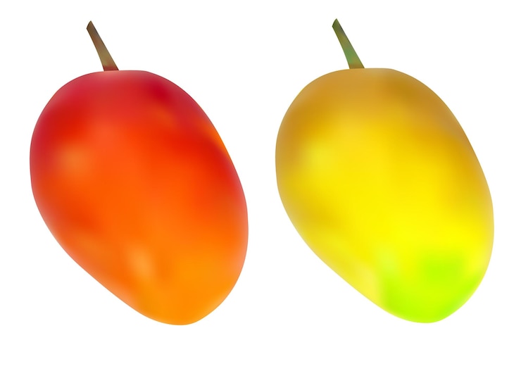 Vector dos mangos maduros