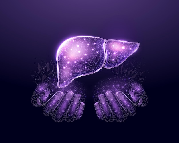 Vector dos manos humanas sostienen el hígado humano apoyan el concepto de hígado saludable estructura alámbrica brillante diseño de baja poli sobre fondo azul oscuro resumen ilustración vectorial futurista