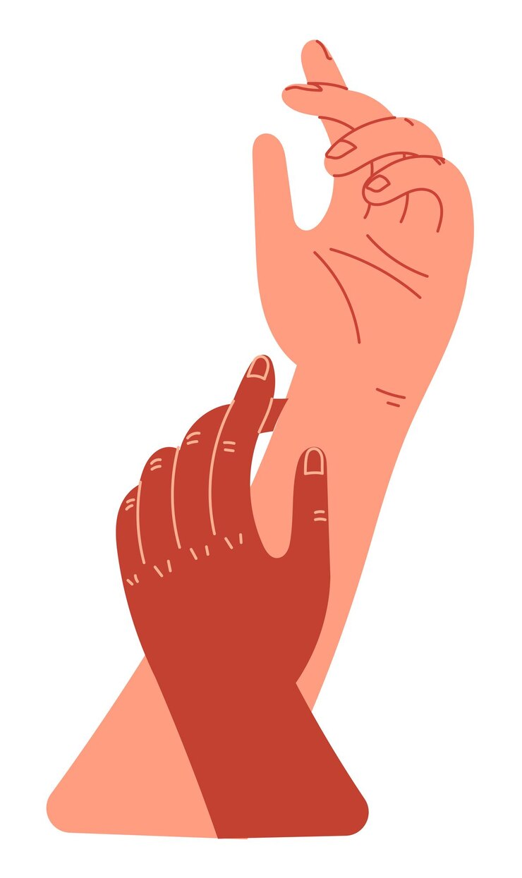 Vector dos manos, primer plano, dos personas, unión, manos