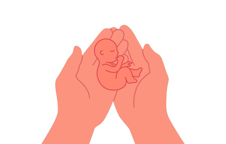 Vector dos manos sosteniendo una ilustración vectorial de un bebé recién nacido