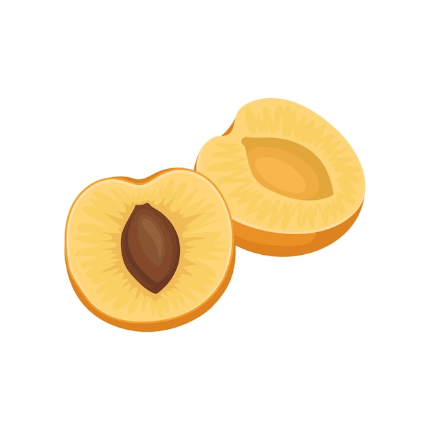 Dos mitades de albaricoque amarillo-naranja maduro con hueso Fruta dulce y sabrosa Alimento saludable Producto natural Elemento gráfico para la etiqueta de mermelada Diseño vectorial plano detallado aislado sobre fondo blanco