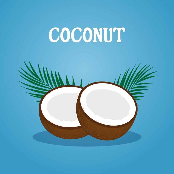Vector dos mitades de un coco dividido con hojas aisladas en un fondo de gradiente azul