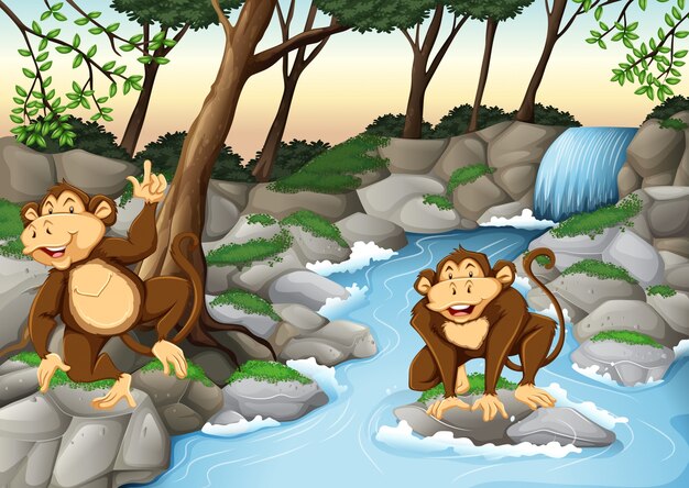 Dos monos que viven junto a la cascada