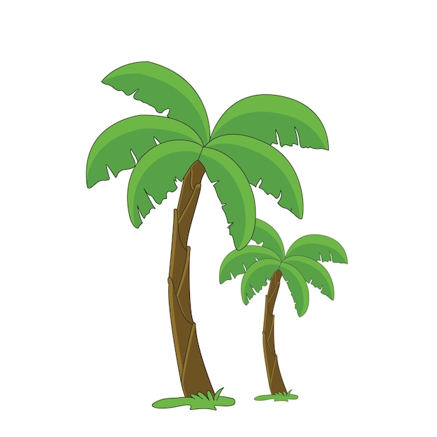 Dos palmeras de coco con hierba aislada sobre fondo blanco
