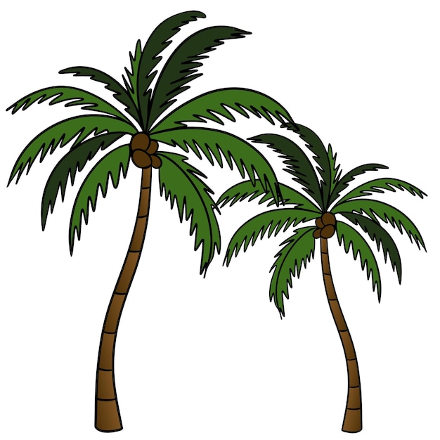 Dos palmeras playa de plantas de islas tropicales verano en el paraíso flora exótica