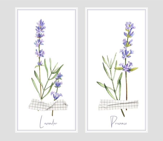 Dos pancartas verticales con lavanda y cinta.