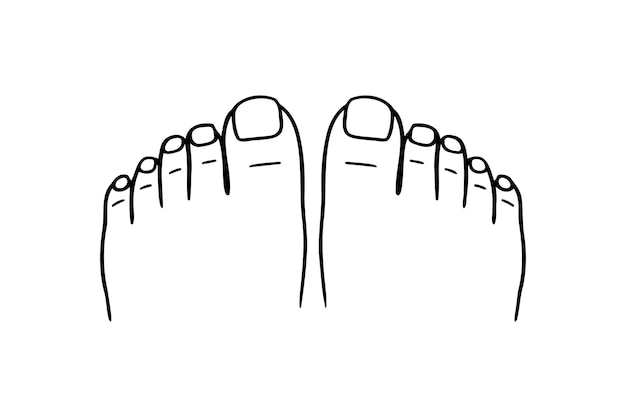 Dos pies vista superior dedos de los pies uñas pedicura dibujado a mano icono contorno dibujando dos pies vista superior de los pies