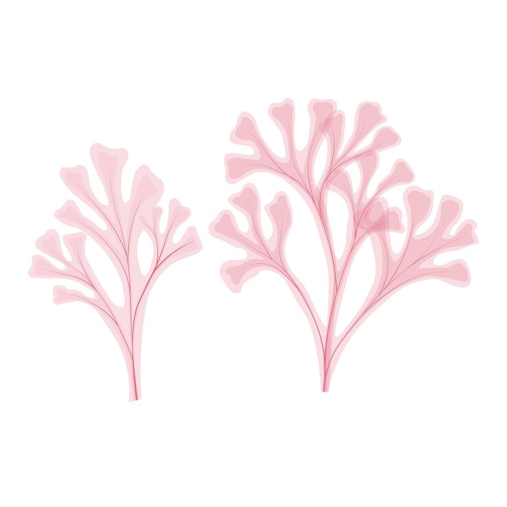 Vector dos plantas rosas y blancas con hojas rosas y verdes
