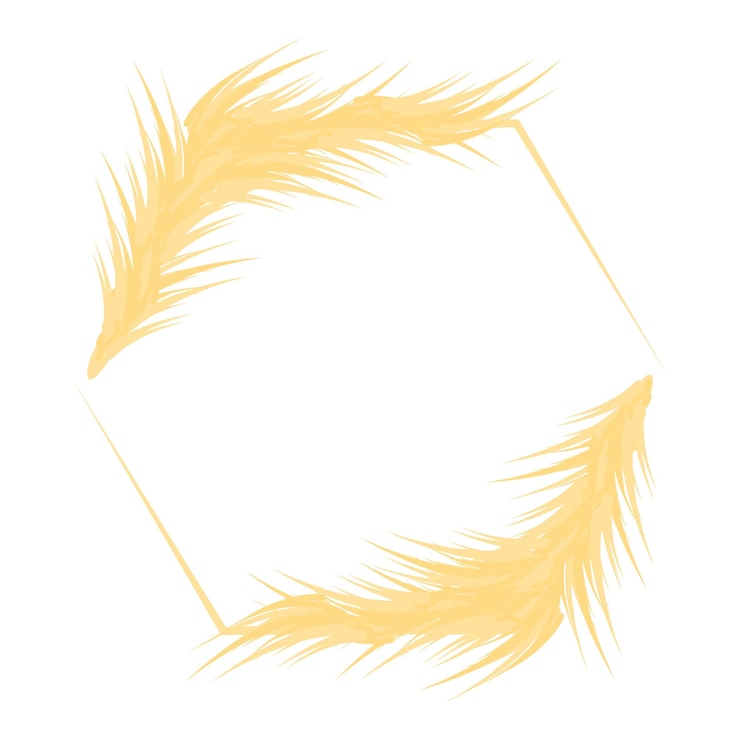Vector dos plumas doradas que forman un marco hexagonal sobre un fondo blanco
