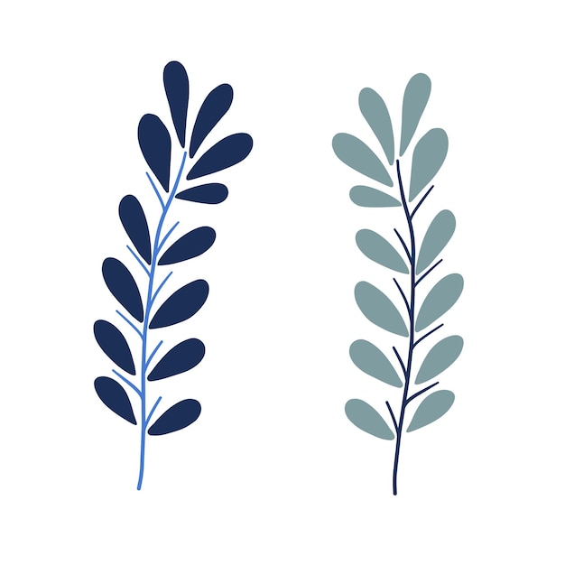 Dos ramas frondosas en diferentes tonos de azul apropiadas para blogs de bienestar estudios botánicos naturales