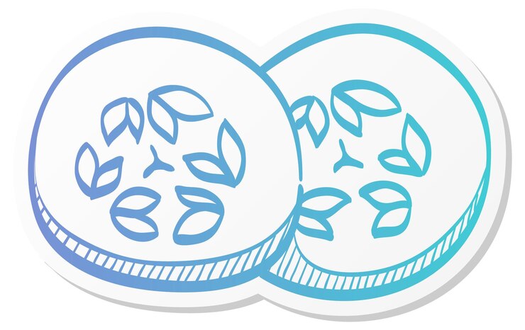Vector dos rebanadas de pepino