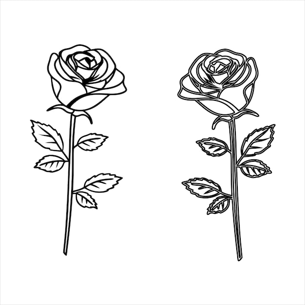 Dos rosas estilizadas blancas y negras una con un diseño colorido