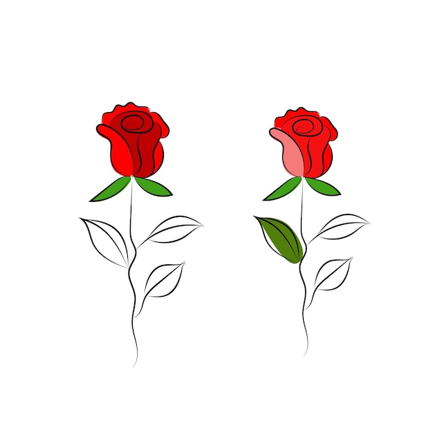 Dos rosas sobre un fondo blanco.