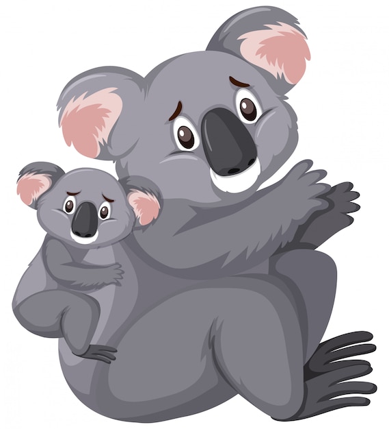 Dos tristes koalas