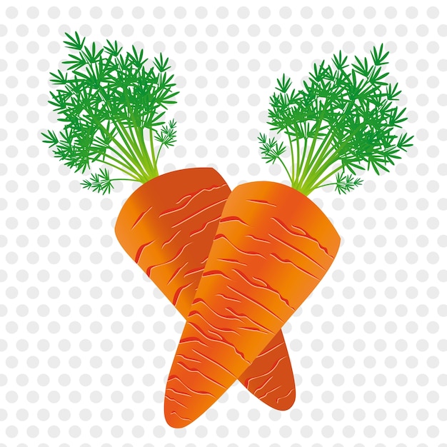 dos zanahorias aisladas en el fondo de puntos grises