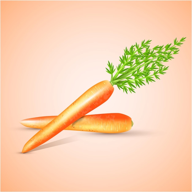 dos zanahorias con una ramita verde en la parte superior de ellos