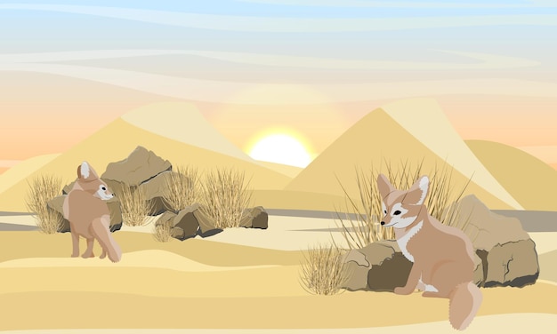 Dos zorros fennec abandonados en la arena fauna del norte de áfrica gran desierto con dunas de arena