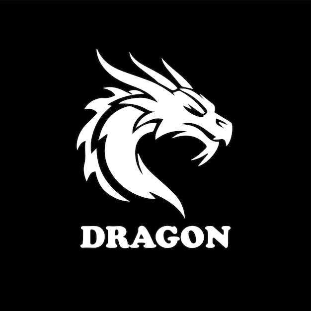 un dragón con un dragón en él que dice dragón